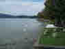 Hallstaedtersee_2014_16